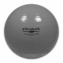 TheraBand Exercise & Stability Ball- Standard